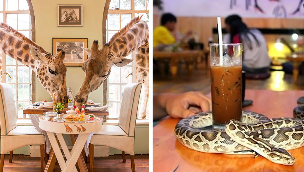 20 Of The World’s Most Amazing Restaurants To Eat In Before You Die