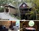 Most Dreamy Airbnb Treehouses in the United States 