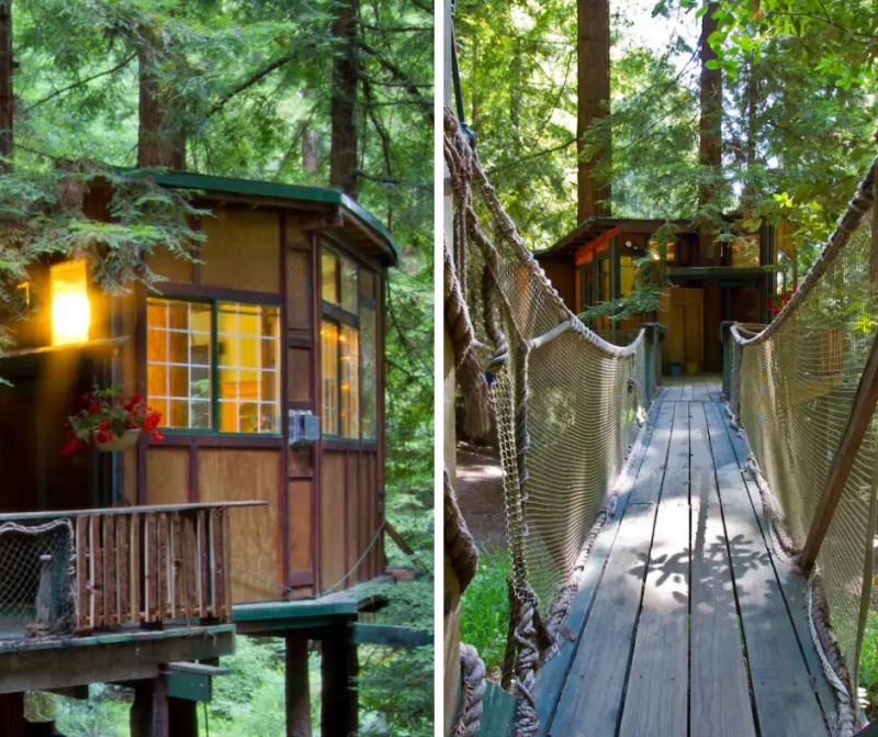 Redwood Treehouse Santa Cruz Mtns. Watsonville, California Travel