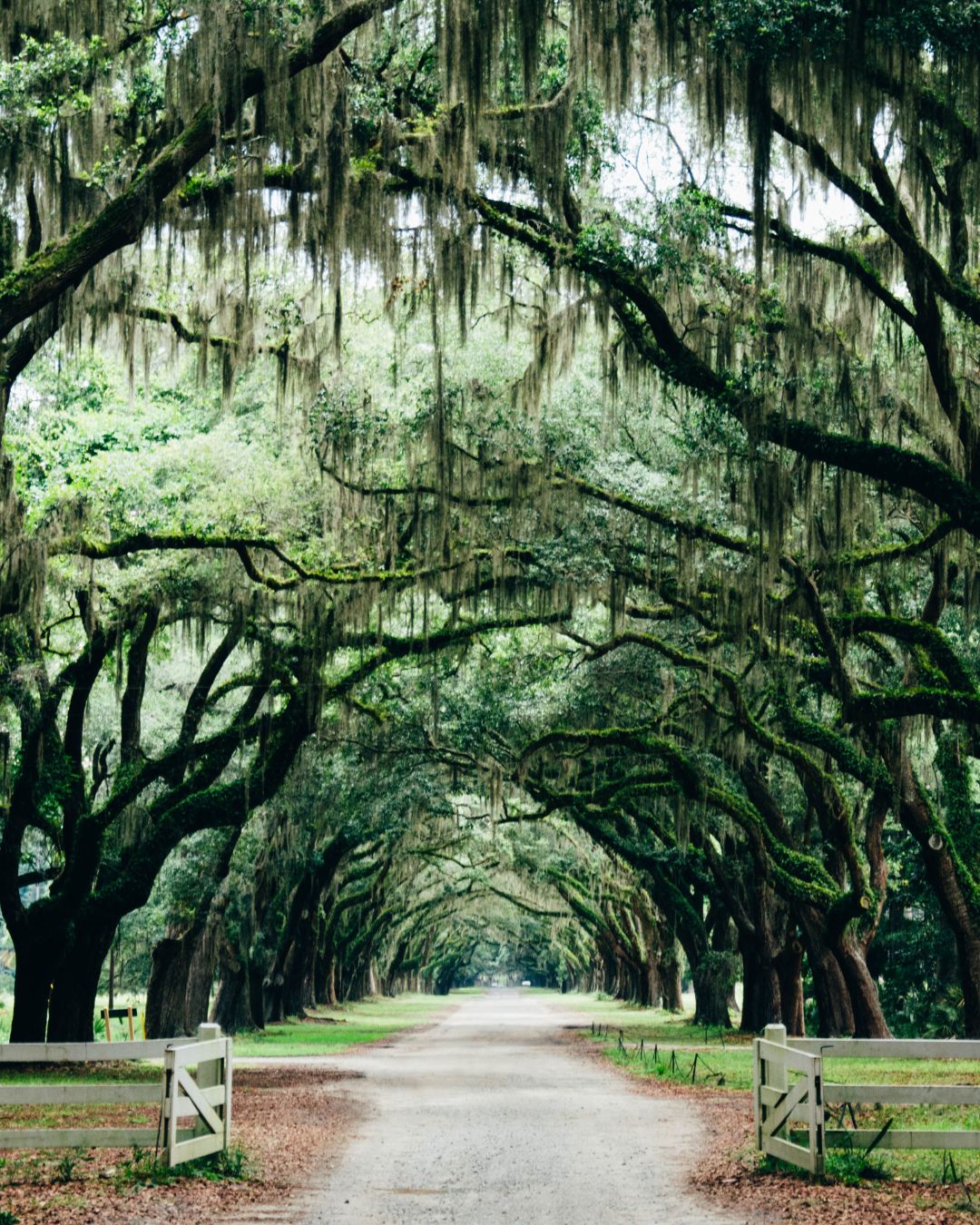 Savannah, Georgia