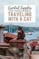Supplies When Traveling with a Cat